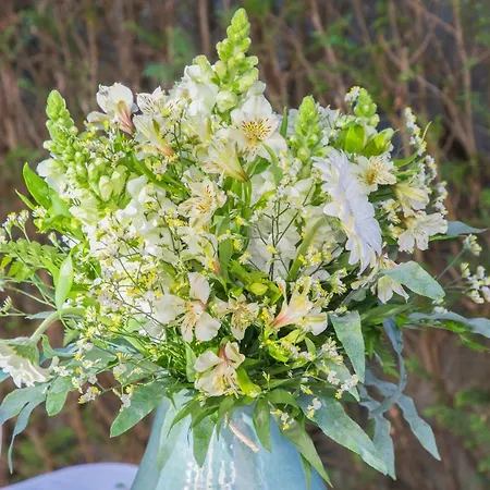 Villa Casa Galinanes *