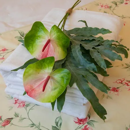 Casa Galinanes Villa *