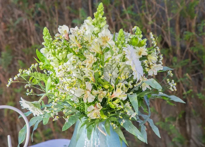 Βίλα Casa Galinanes *